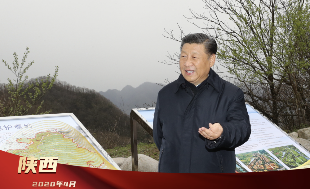 2020年4月20日，习近平总书记在陕西考察调研时，来到位于商洛市柞水县的秦岭牛背梁国家级自然保护区，了解秦岭生态保护工作情况。在绘有地图的展板前，习近平总书记为秦岭生态环境保护划下重点：“秦岭和合南北、泽被天下，是我国的中央水塔，是中华民族的祖脉和中华文化的重要象征。保护好秦岭生态环境，对确保中华民族长盛不衰、实现‘两个一百年’奋斗目标、实现可持续发展具有十分重大而深远的意义。”他还特别叮嘱领导干部：“要以功成不必在我的胸怀，真正对历史负责、对民族负责，不能在历史上留下骂名。”