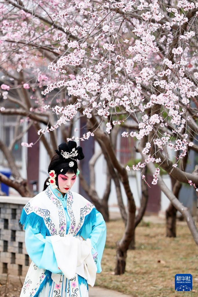 春暖大地桃花开