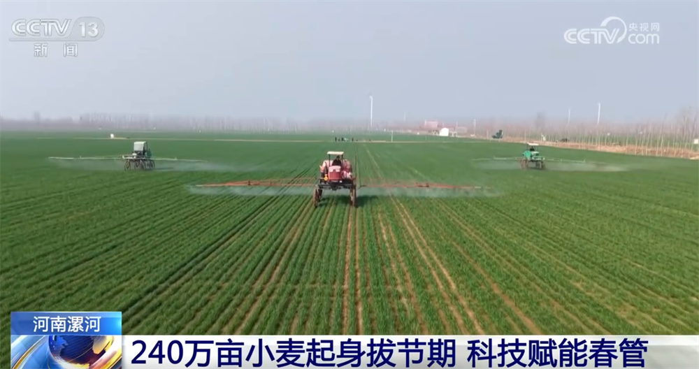 从“靠经验”向“靠数据”转变 科技为农业生产装上了“数字大脑”