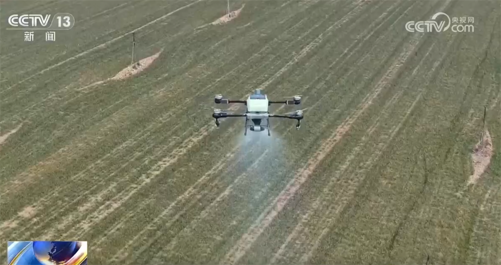 从“靠经验”向“靠数据”转变 科技为农业生产装上了“数字大脑”