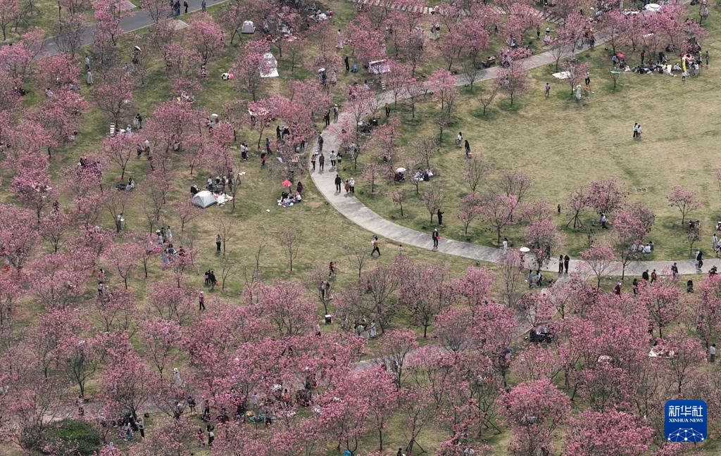 春光明媚赏花时