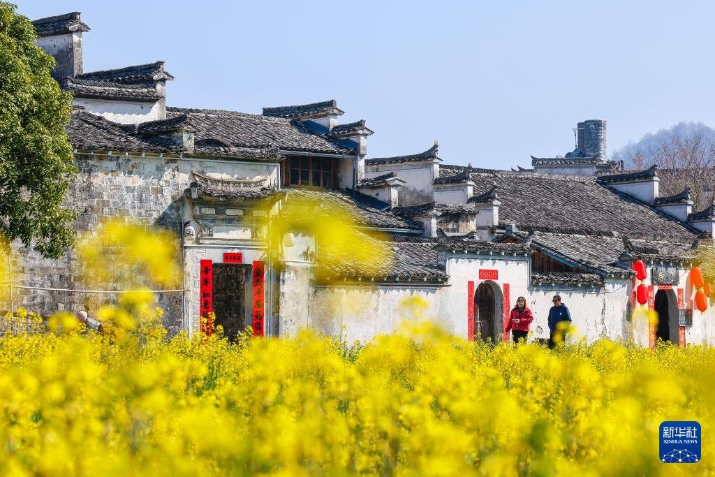 春光明媚赏花时