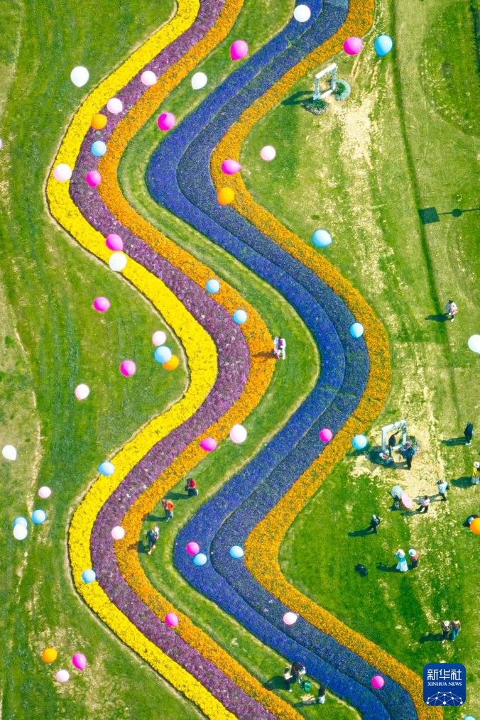 春光明媚赏花时