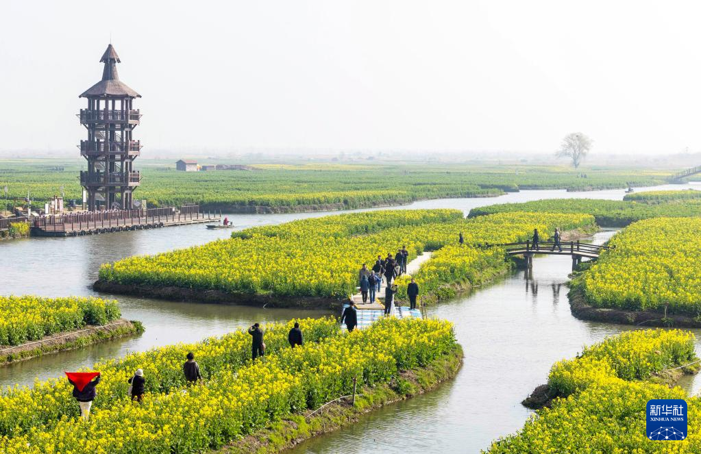 春光明媚赏花时