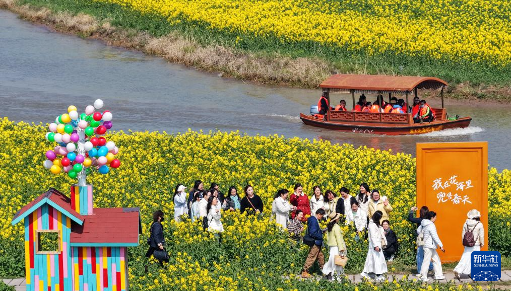 春光明媚赏花时