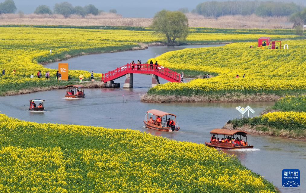 春光明媚赏花时