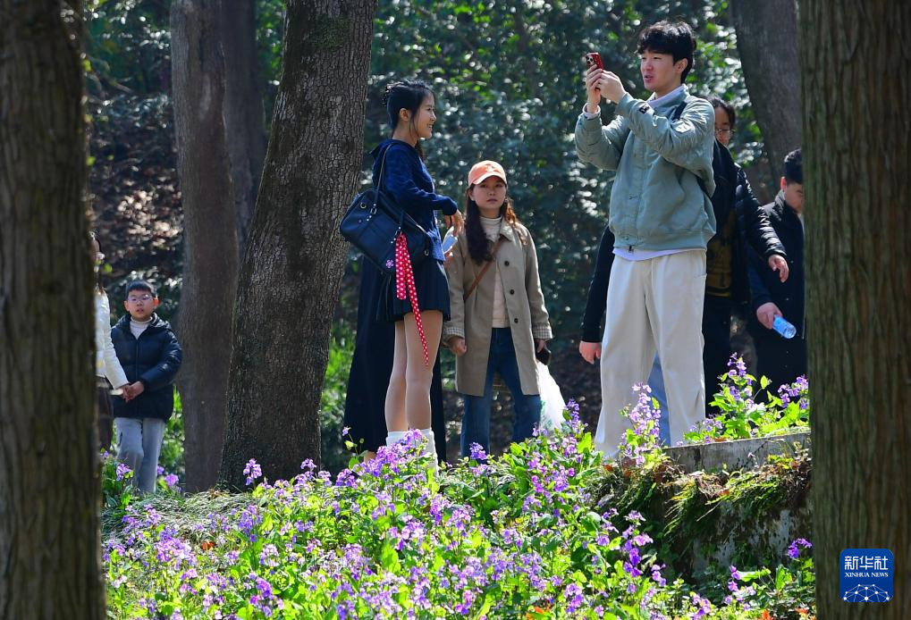 春光明媚赏花时