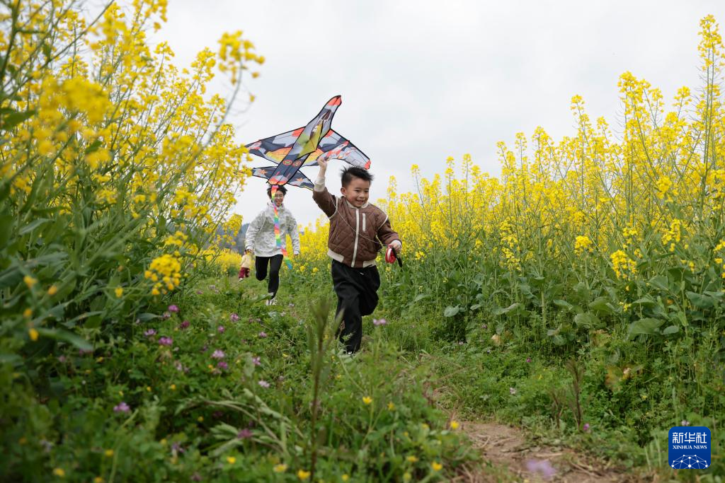 春光明媚赏花时