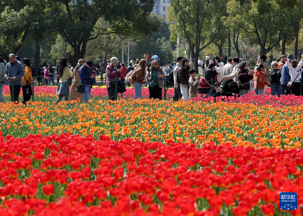 春光明媚赏花时