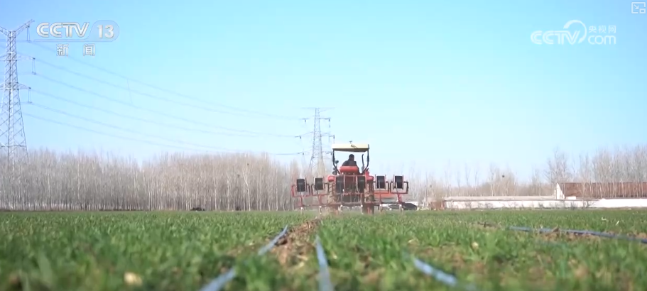 构建“监测预警+技术服务+物资保障”三重防线保障夏粮稳产丰产