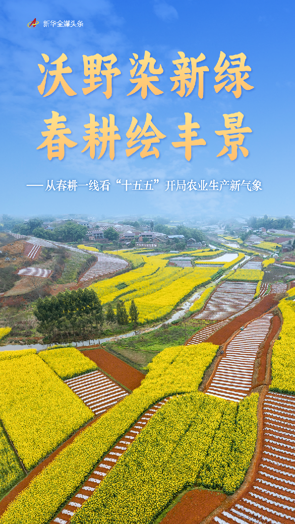 沃野染新绿 春耕绘丰景——从春耕一线看“十五五”开局农业生产新气象
