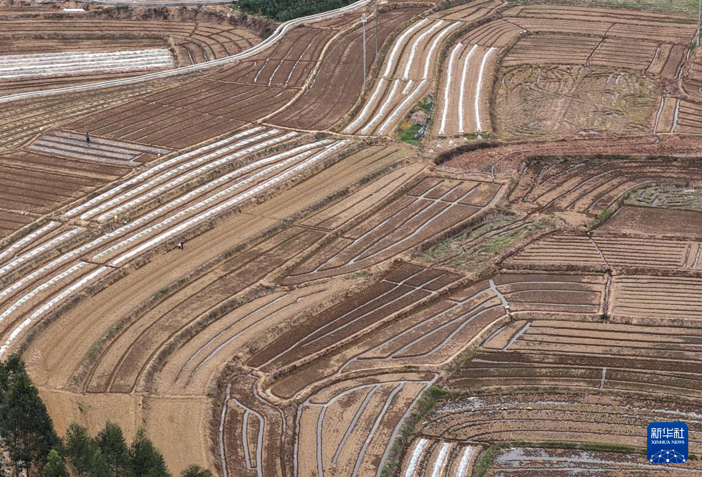 春分时节农事忙