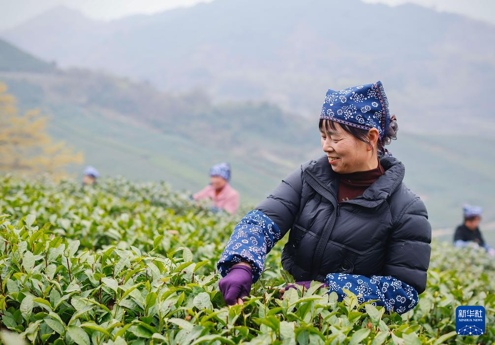 春分时节农事忙
