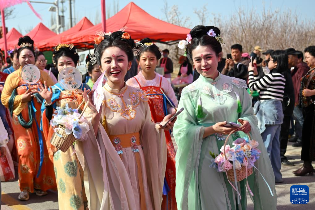 新疆吐鲁番:赴一场杏花之约