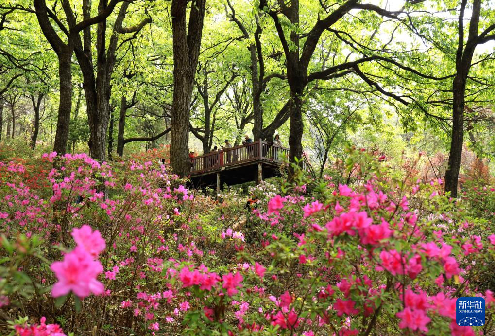 亲近自然,拥抱春天