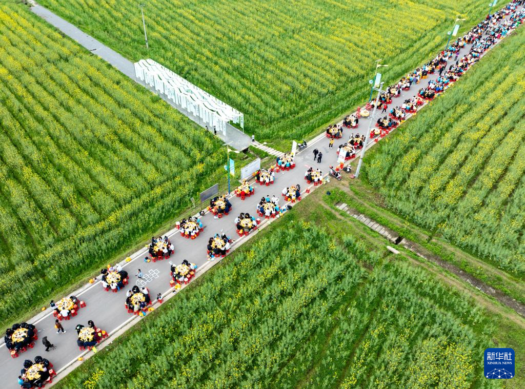 亲近自然,拥抱春天