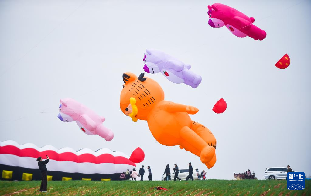 亲近自然,拥抱春天