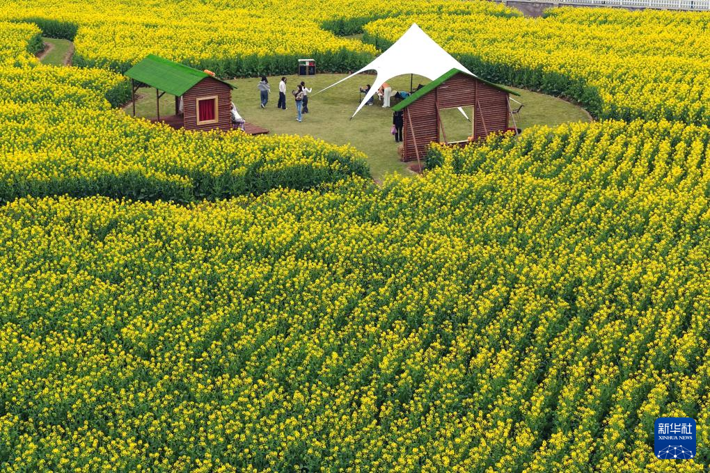 亲近自然,拥抱春天