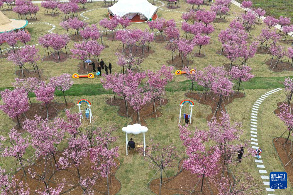 亲近自然,拥抱春天