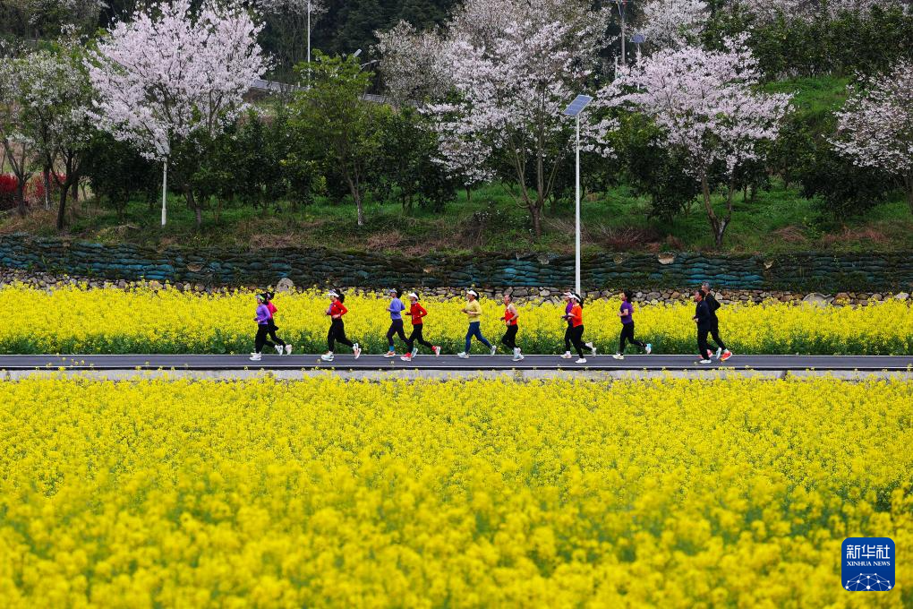 亲近自然,拥抱春天