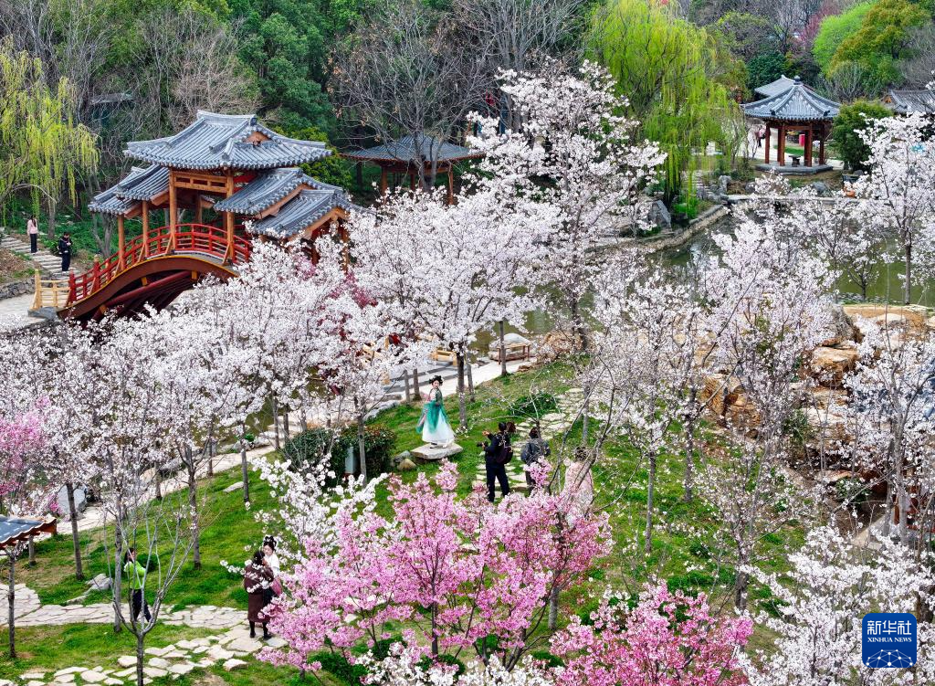 亲近自然,拥抱春天