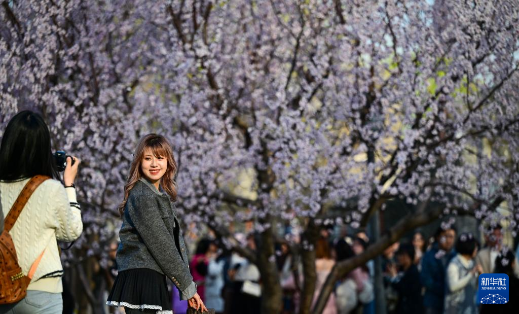 亲近自然,拥抱春天