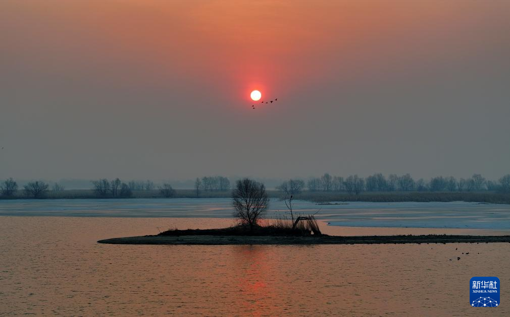 松花江上候鸟迎春