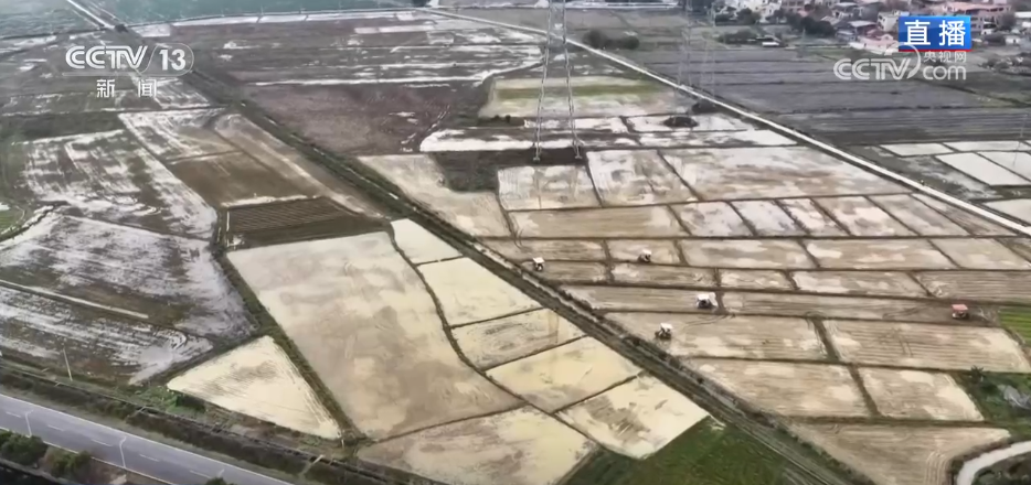 路通渠畅千亩良田插秧忙 高标准农田改造为春耕按下“快进键”