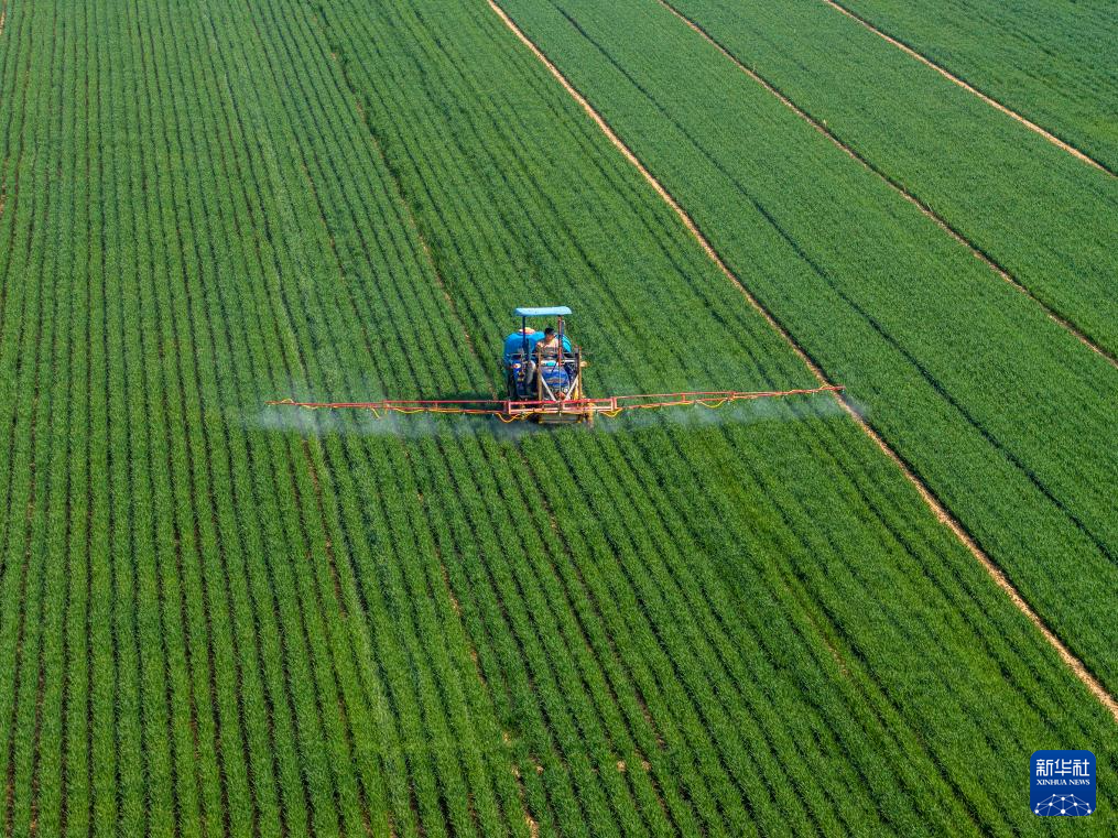 春风和煦耕作忙