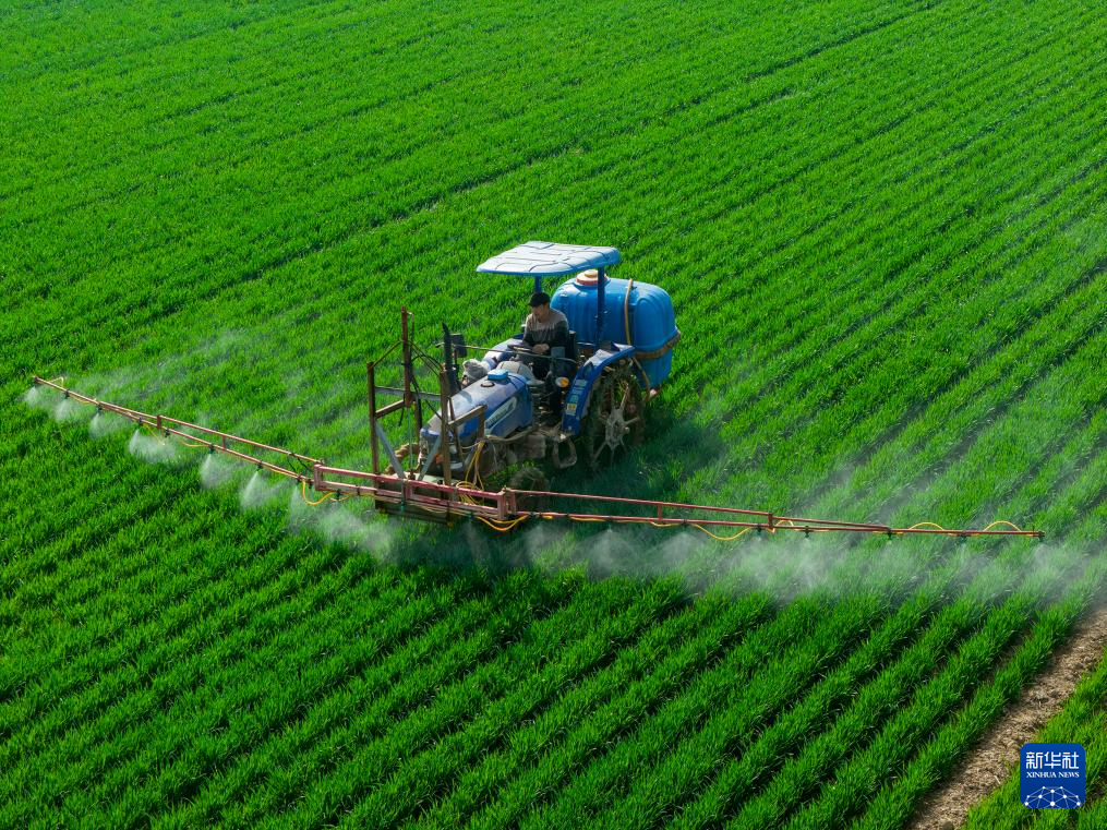 春风和煦耕作忙