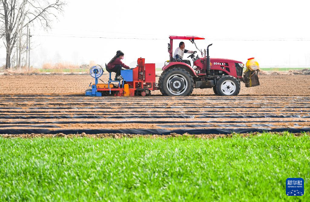 春风和煦耕作忙