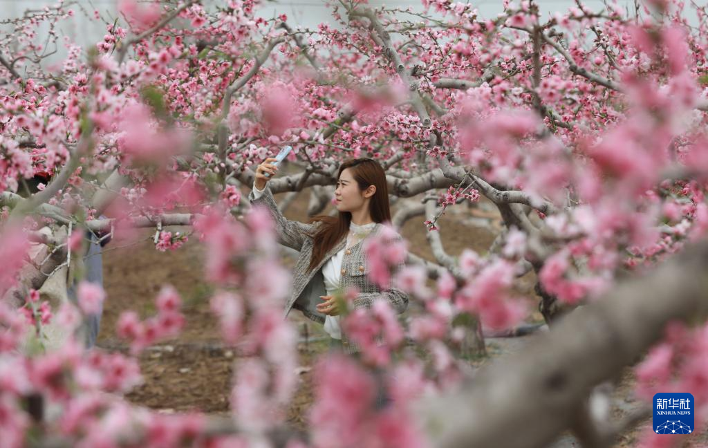 踏青赏花春意浓