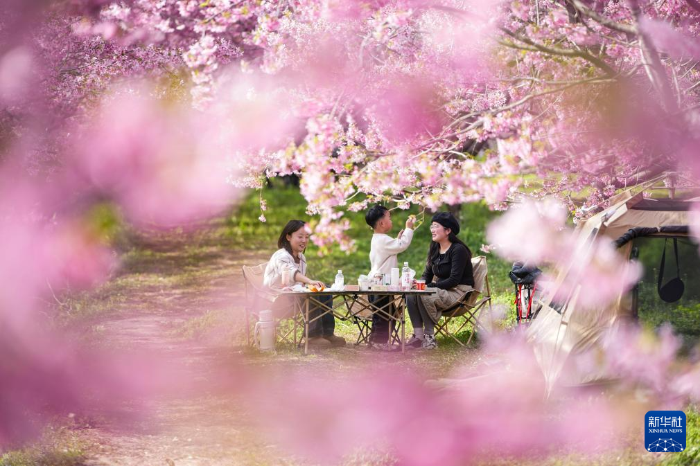 踏青赏花春意浓