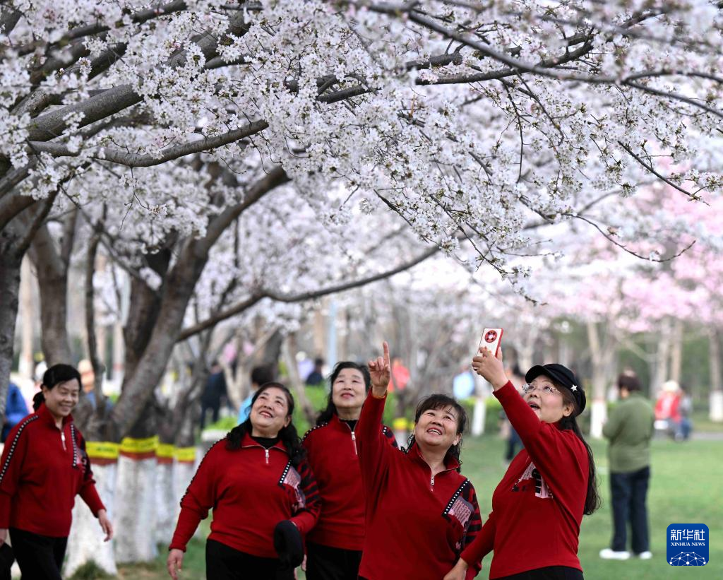 踏青赏花春意浓