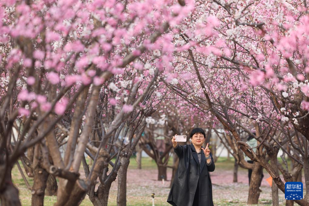 踏青赏花春意浓