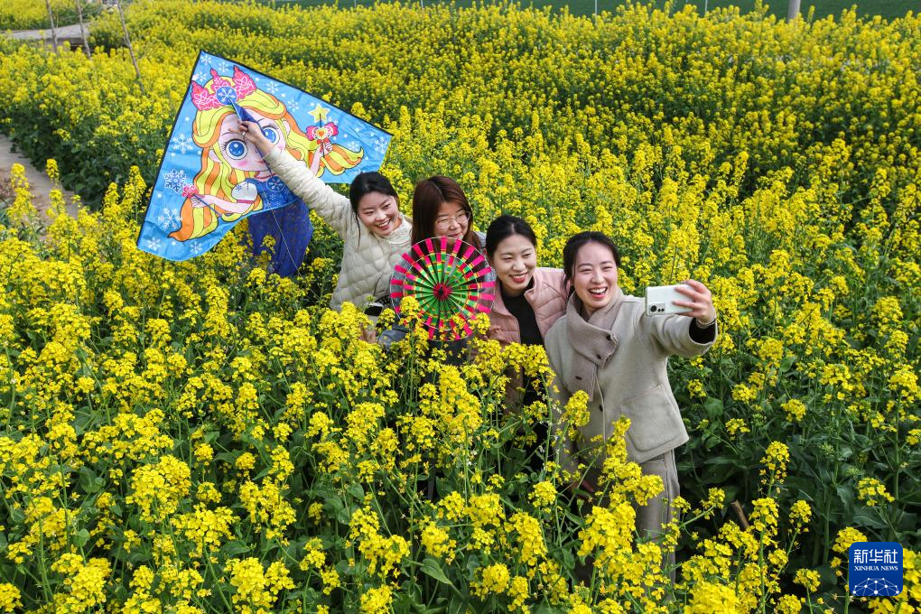 踏青赏花春意浓