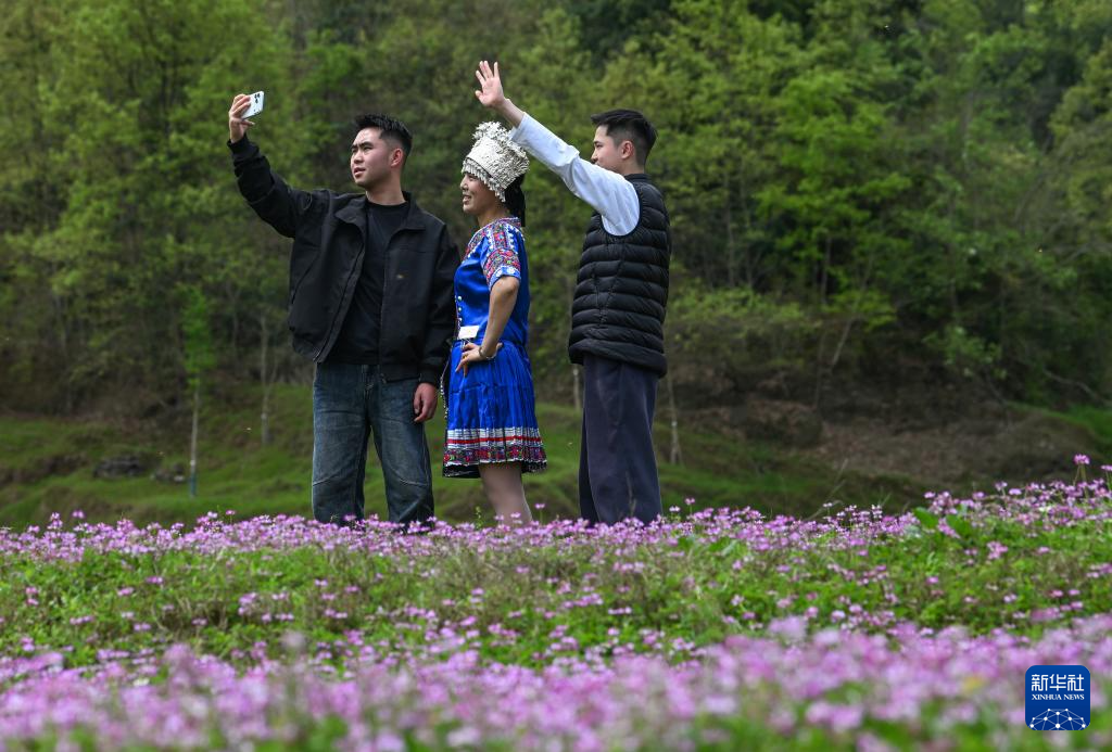 踏青赏花春意浓