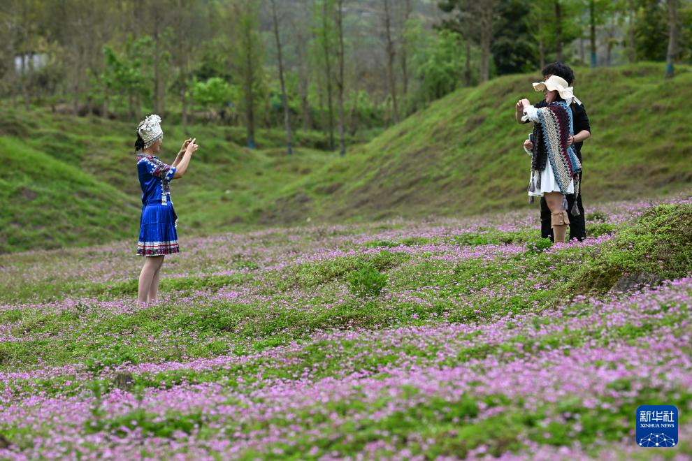 踏青赏花春意浓