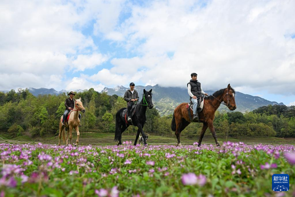 踏青赏花春意浓