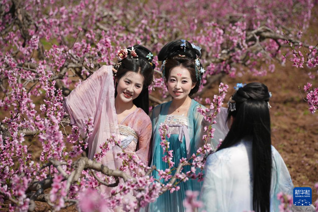 西安长安:踏春赏花正当时