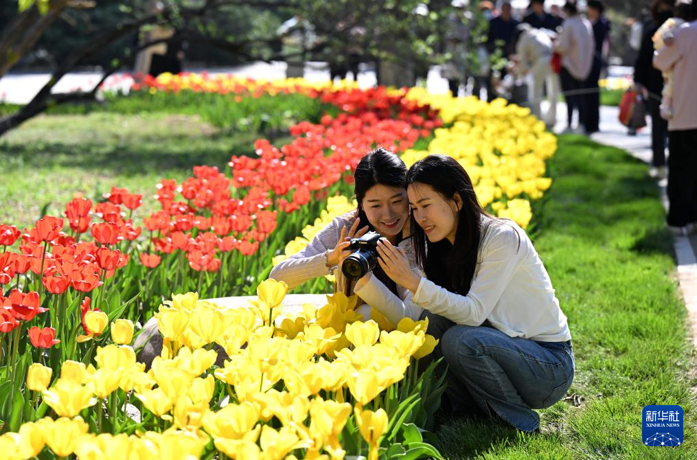清明出游正当时