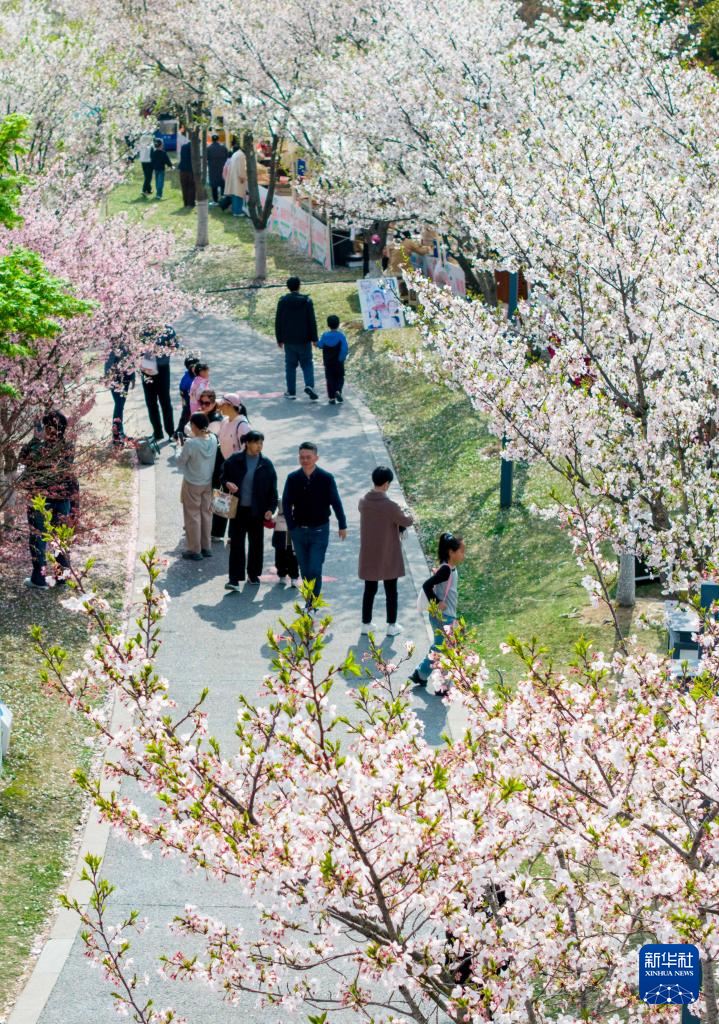 清明出游正当时