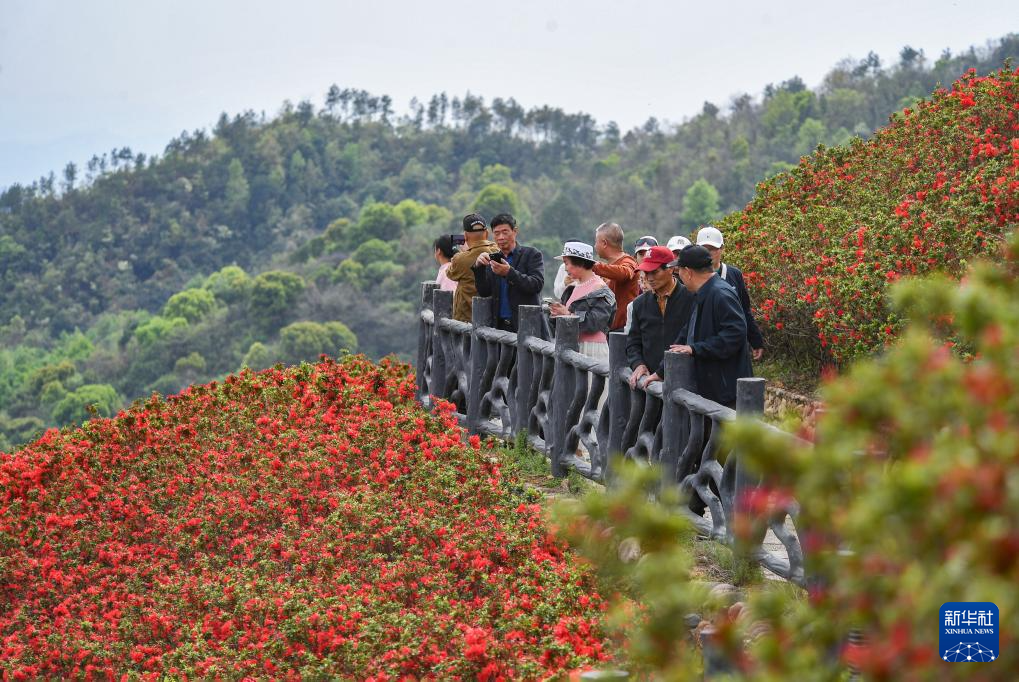 清明出游正当时
