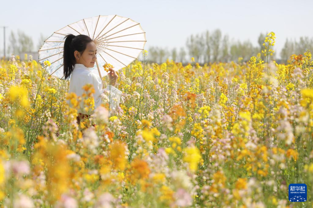 清明出游正当时