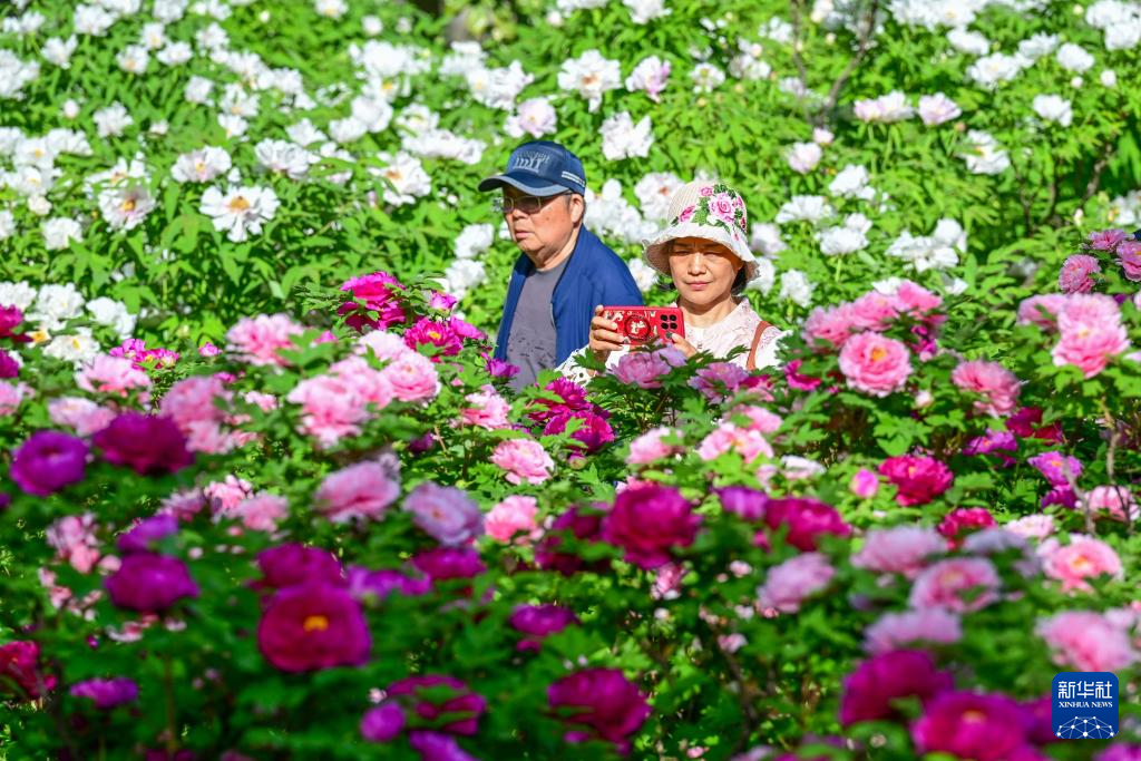 清明出游正当时