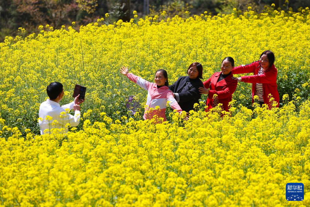 清明出游正当时