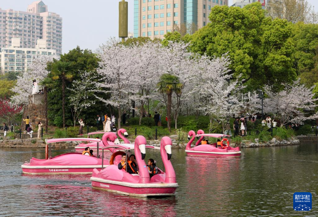 清明出游正当时