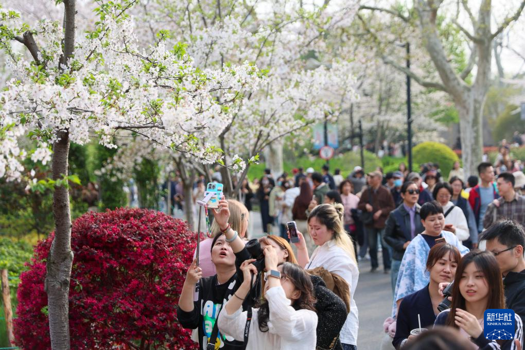 清明出游正当时