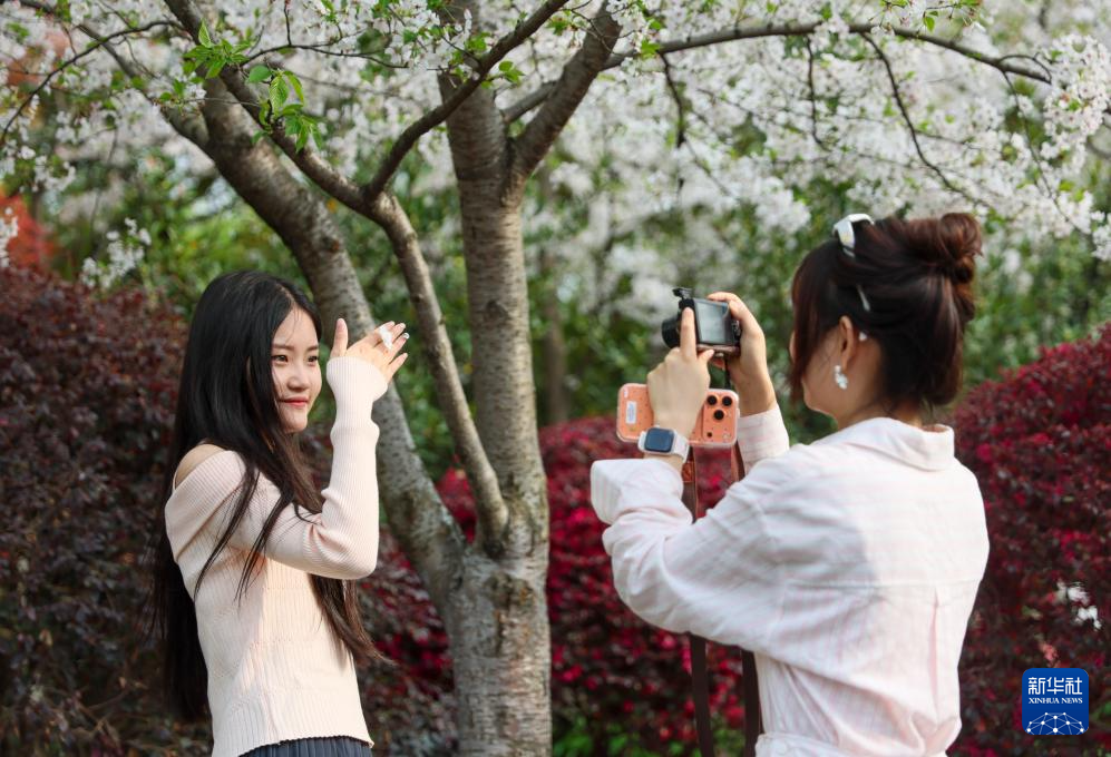 清明出游正当时