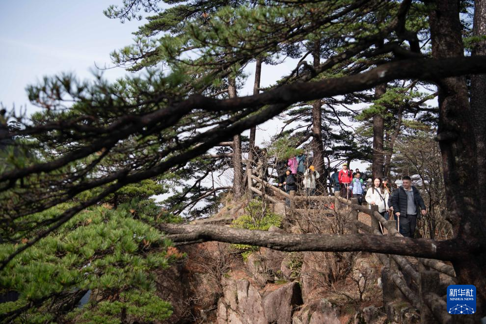 清明出游正当时